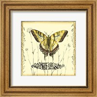Framed Butterfly and Wildflowers III