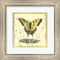 Framed Butterfly and Wildflowers III