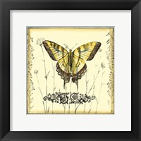 Butterfly and Wildflowers III Framed Print