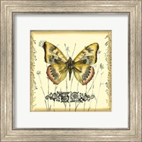 Framed Butterfly and Wildflowers IV