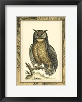 Majestic Perch II Framed Print