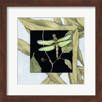 Framed Dragonfly Inset III