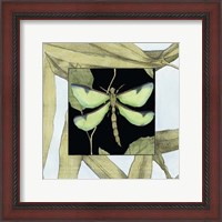 Framed Dragonfly Inset IV
