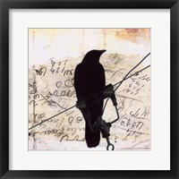 What Crows Reveal I Framed Print