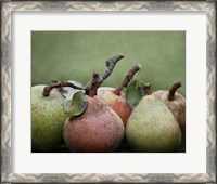 Framed Comice Pears I