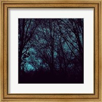 Framed Nocturne III