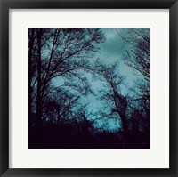 Framed Nocturne IV