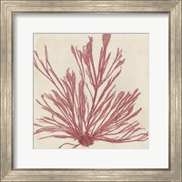 Framed Brilliant Seaweed IX