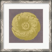 Framed Gilded Rosette II