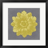 Framed Gilded Rosette V