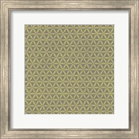 Framed Graphic Pattern I