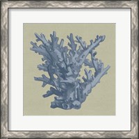 Framed Chambray Coral I