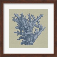 Framed Chambray Coral I
