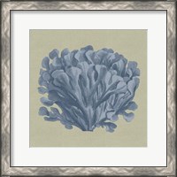 Framed Chambray Coral III