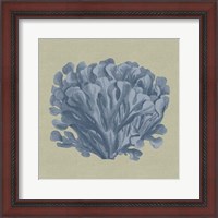 Framed Chambray Coral III
