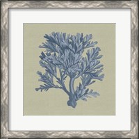 Framed Chambray Coral IV