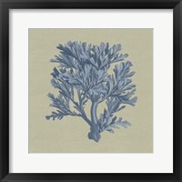 Framed Chambray Coral IV