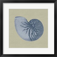 Framed Chambray Shells II