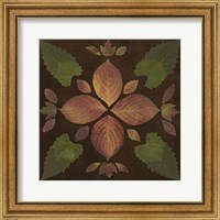 Framed Kaleidoscope Leaves III