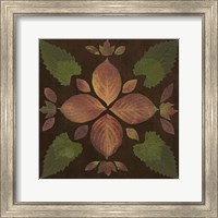 Framed Kaleidoscope Leaves III