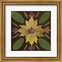 Framed Kaleidoscope Leaves IV