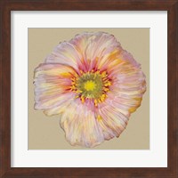 Framed Poppy Blossom I