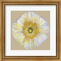 Framed Poppy Blossom II