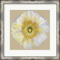 Framed Poppy Blossom II