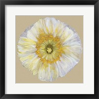 Framed Poppy Blossom II