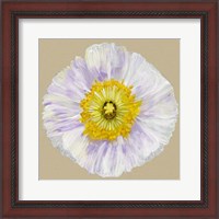 Framed Poppy Blossom IV