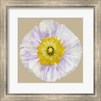 Framed Poppy Blossom IV
