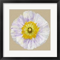 Framed Poppy Blossom IV