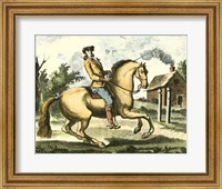 Framed Equestrian Training I