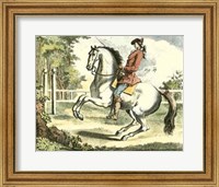 Framed Equestrian Training II