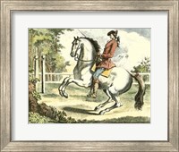 Framed Equestrian Training II