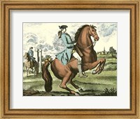 Framed Equestrian Training III