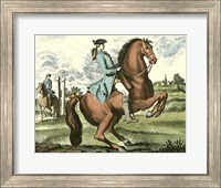 Framed Equestrian Training III