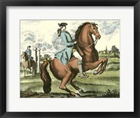 Framed Equestrian Training III