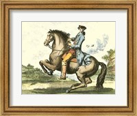Framed Equestrian Training IV