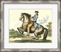 Framed Equestrian Training IV