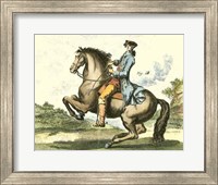 Framed Equestrian Training IV