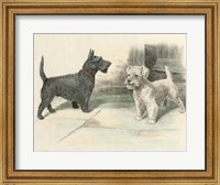 Framed Two Scotties