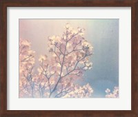 Framed Flowering Dogwood I