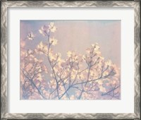 Framed Flowering Dogwood II