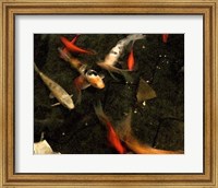 Framed Goldfish Pond II