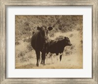 Framed Lone Star Cows I