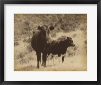 Framed Lone Star Cows I