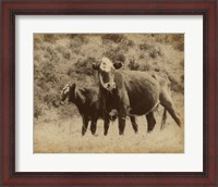 Framed Lone Star Cows II