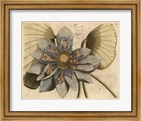Framed Blue Lotus Flower I