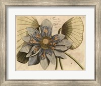 Framed Blue Lotus Flower I